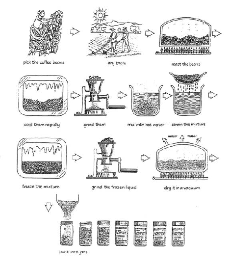 How coffee is produced and prepared for sale